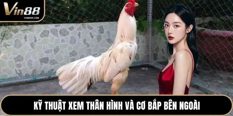 Kỹ thuật xem thân hình và cơ bắp bên ngoài